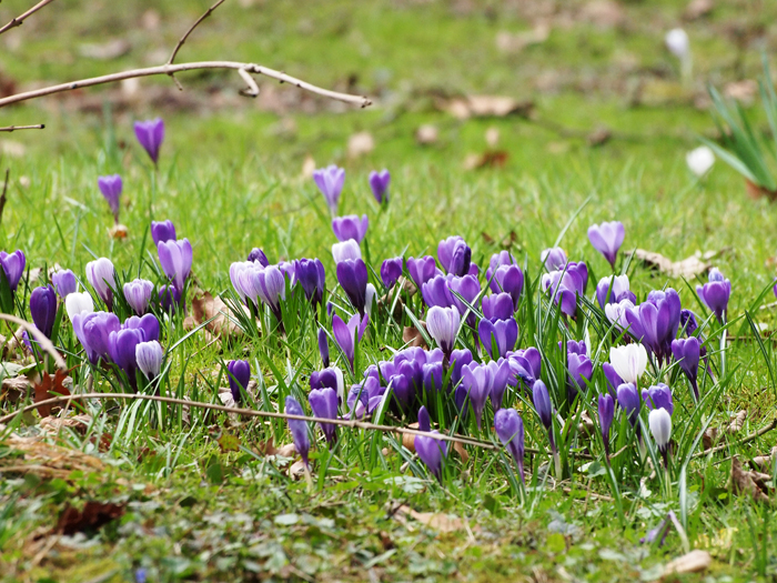 ザールブリュッケン