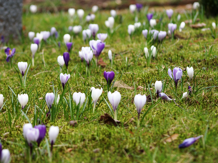 ザールブリュッケン