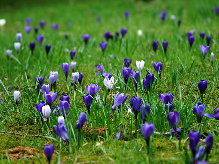 ザールブリュッケン