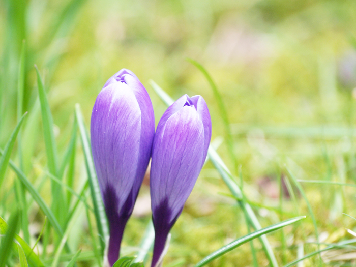 ザールブリュッケン