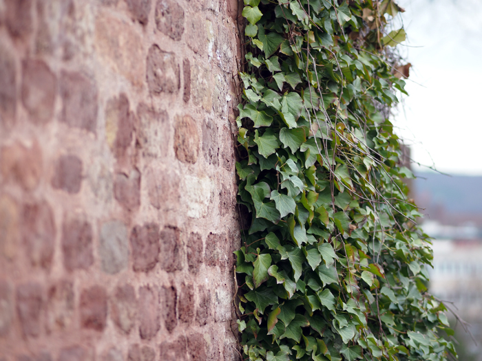 ザールブリュッケン