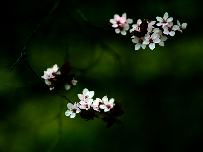 ザールブリュッケン