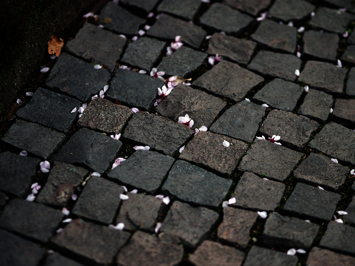 ザールブリュッケン