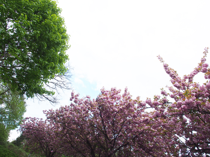 ザールブリュッケン