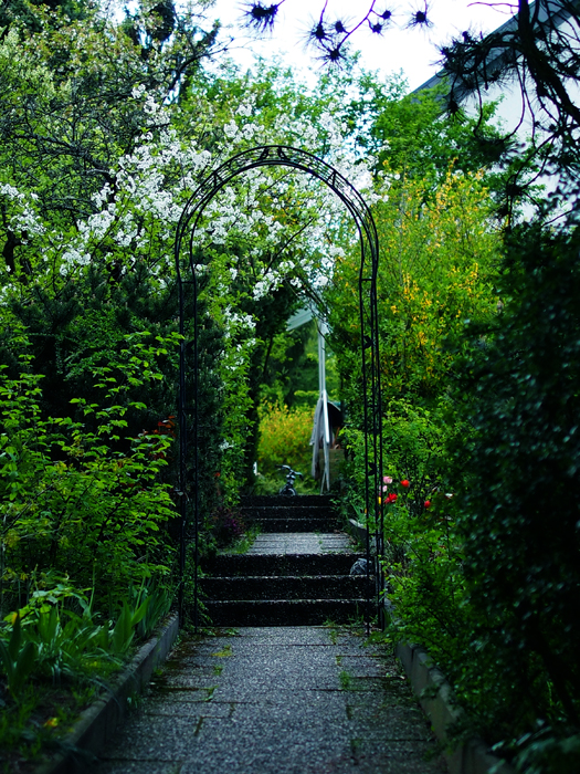 ザールブリュッケン