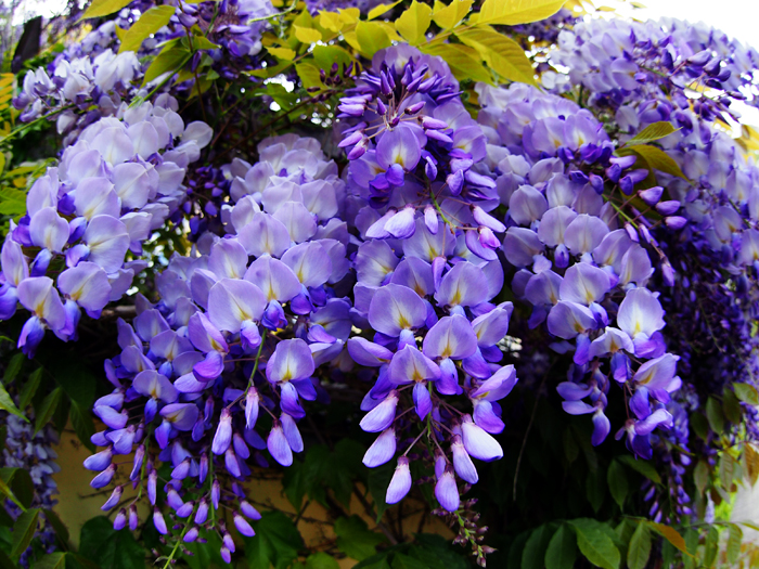 ザールブリュッケン