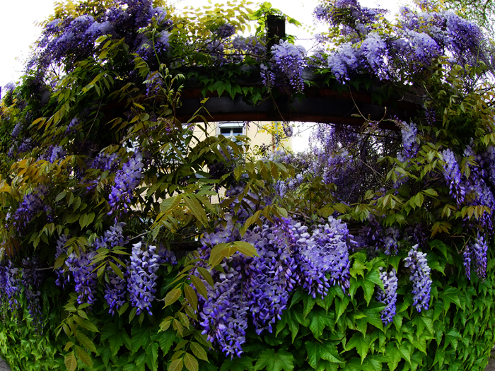 ザールブリュッケン