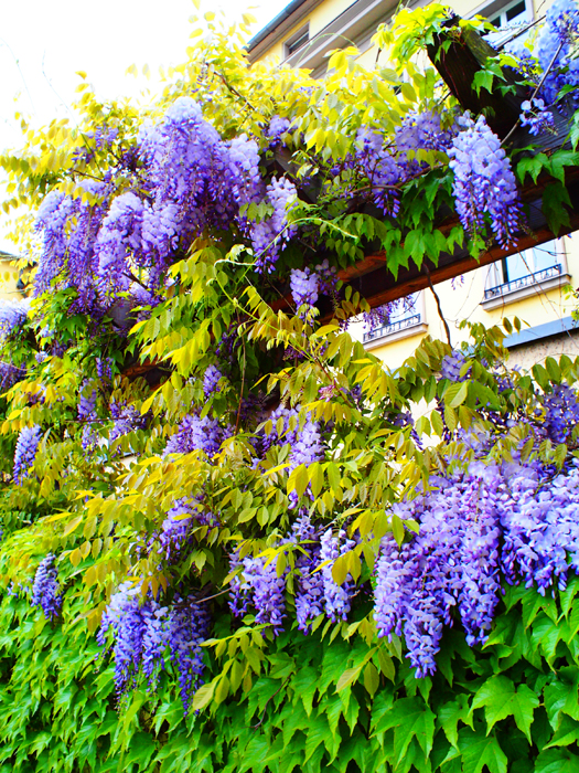 ザールブリュッケン