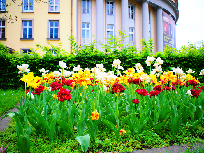 ザールブリュッケン
