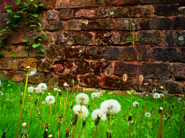 ザールブリュッケン
