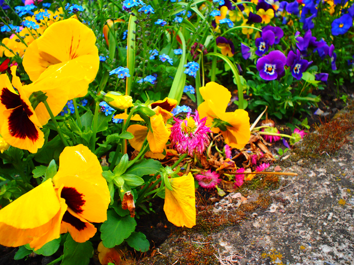 ザールブリュッケン