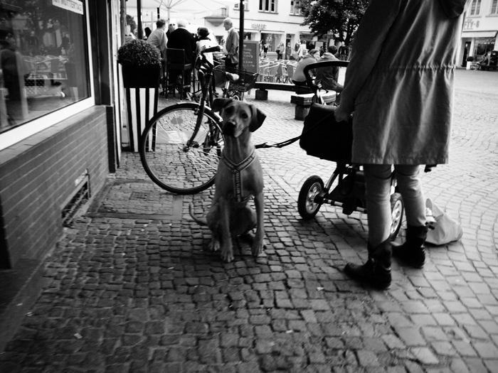 ザールブリュッケン