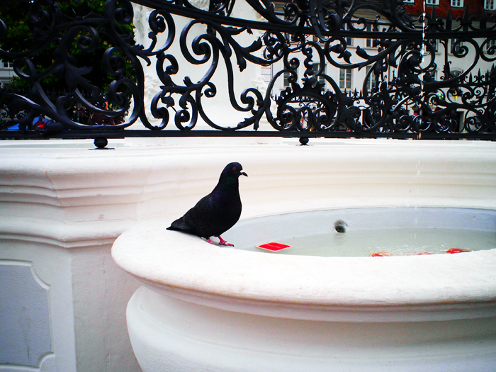 ザールブリュッケン