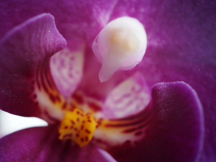 ザールブリュッケン