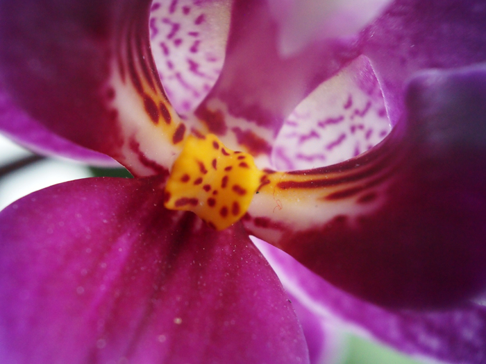 ザールブリュッケン