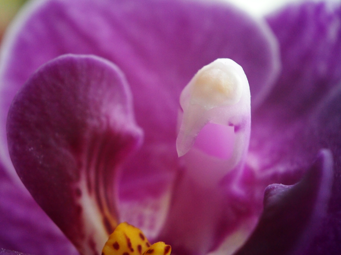 ザールブリュッケン