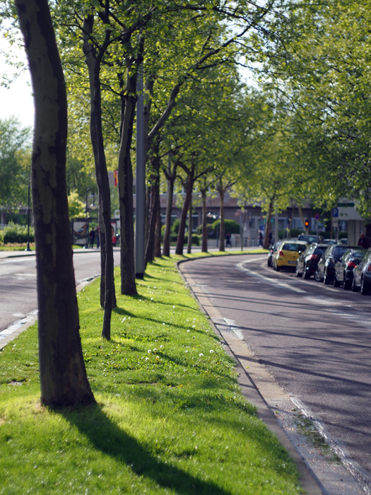 ザールブリュッケン