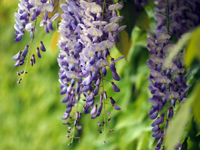 ザールブリュッケン