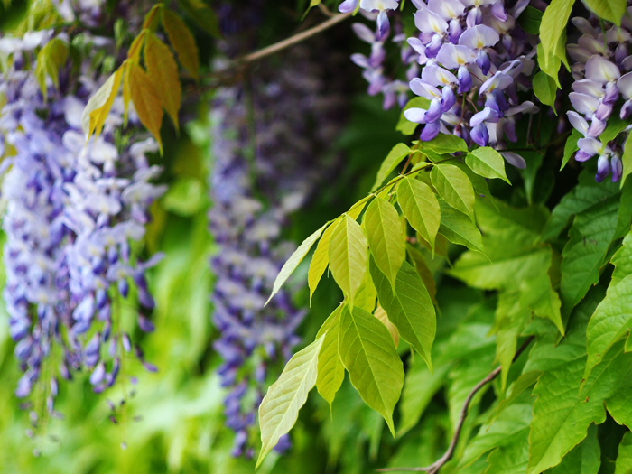 ザールブリュッケン