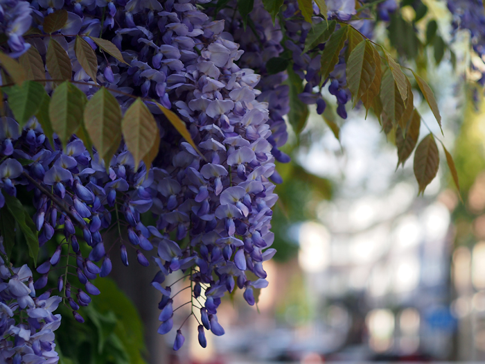 ザールブリュッケン