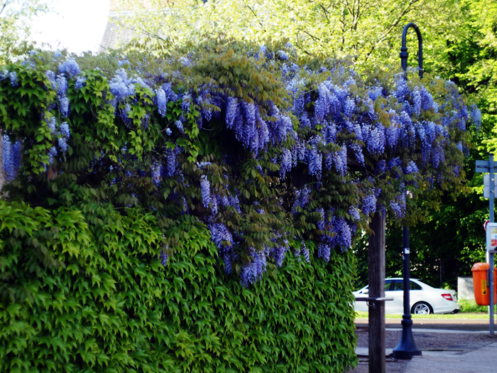 ザールブリュッケン