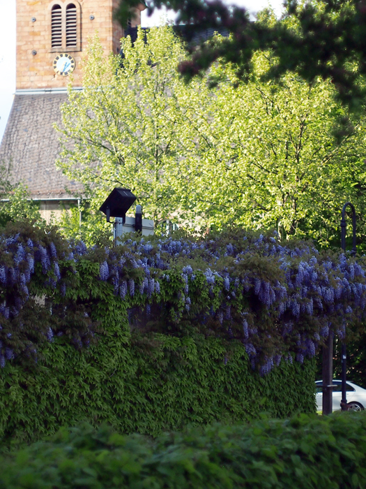 ザールブリュッケン