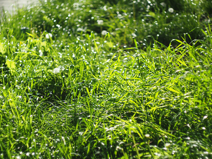 ザールブリュッケン