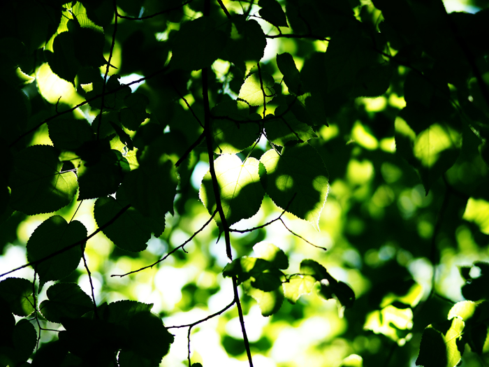 ザールブリュッケン