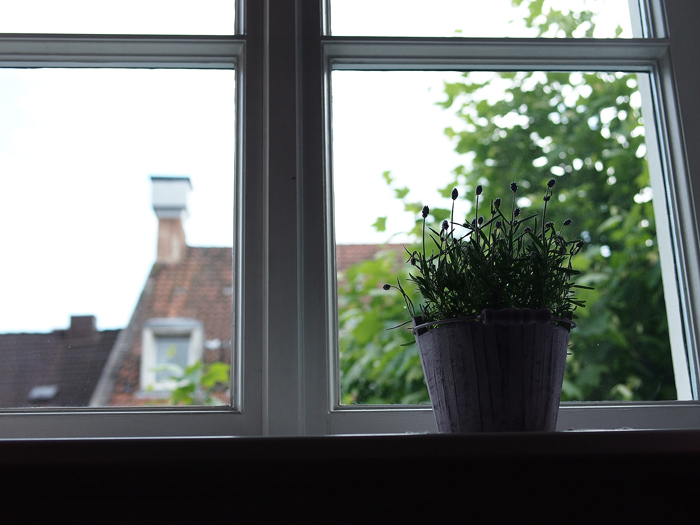 オールドカメラ