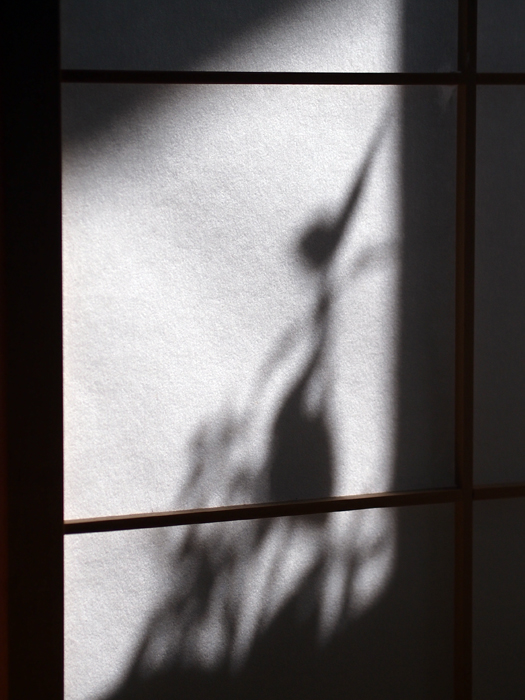 ザールブリュッケン