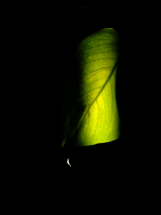 ザールブリュッケン