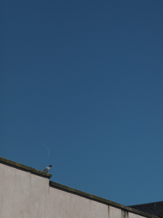 ザールブリュッケン