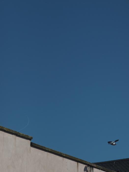 ザールブリュッケン