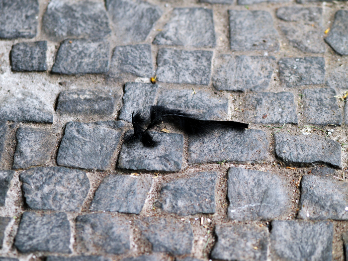 ザールブリュッケン