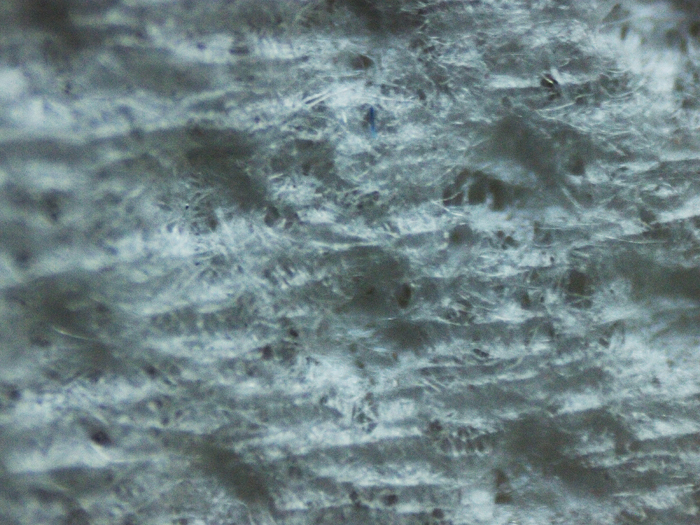 トイレットペーパー