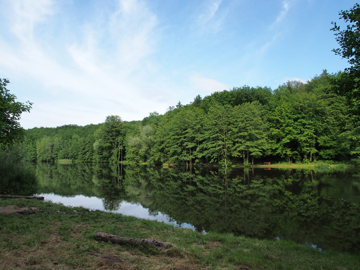 ザールブリュッケン