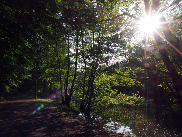 ザールブリュッケン