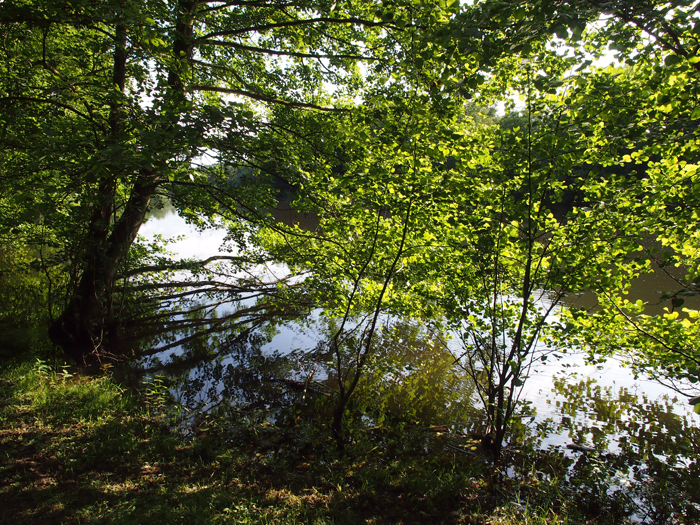 ザールブリュッケン