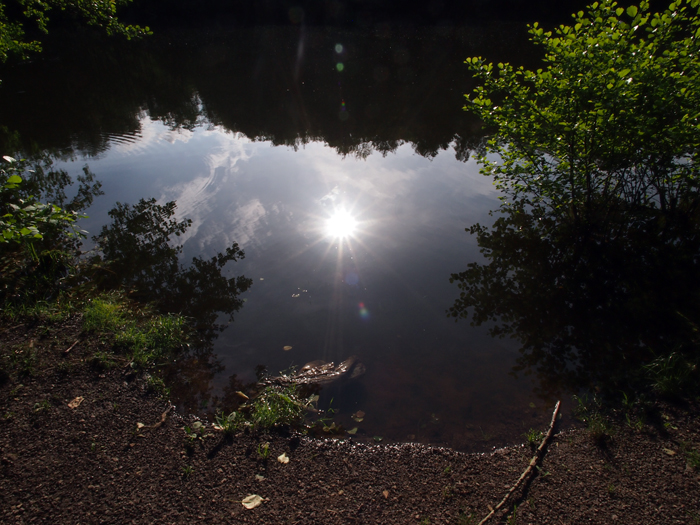ザールブリュッケン