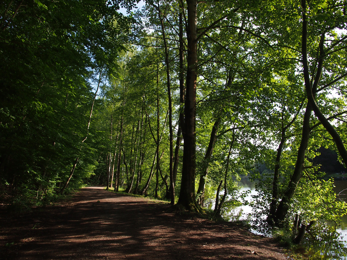 ザールブリュッケン