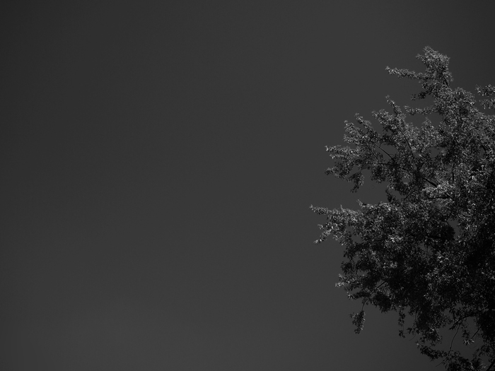 ザールブリュッケン