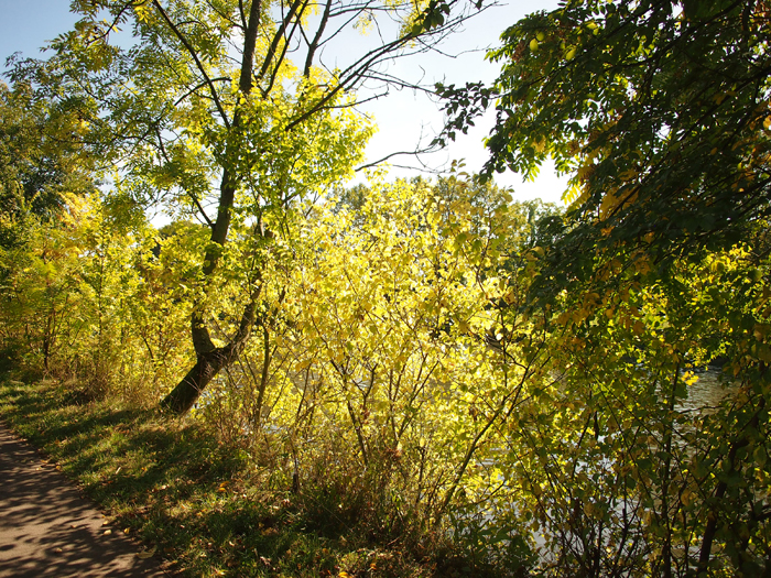 ザールブリュッケン