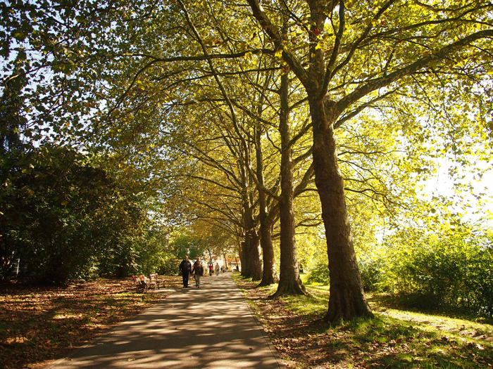 ザールブリュッケン