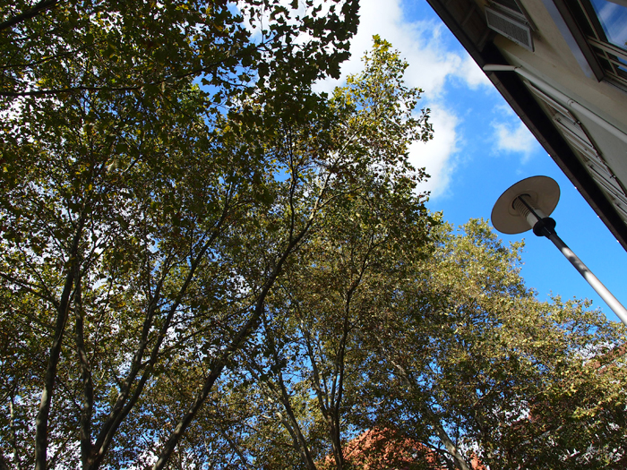 ザールブリュッケン