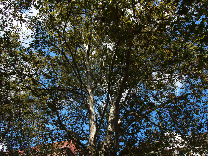 ザールブリュッケン