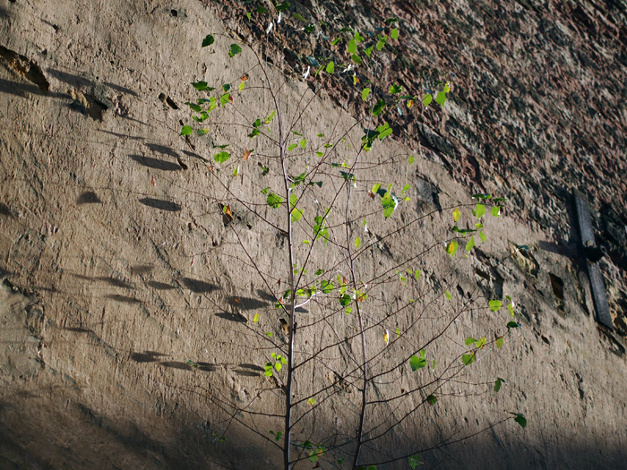 ザールブリュッケン