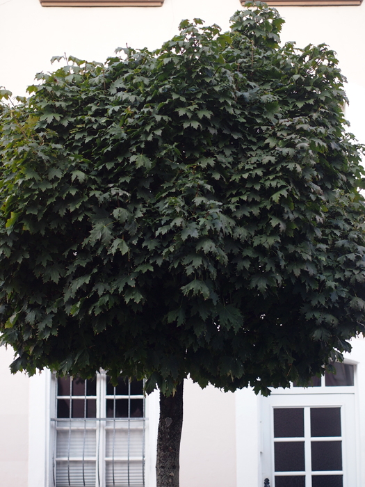 ザールブリュッケン