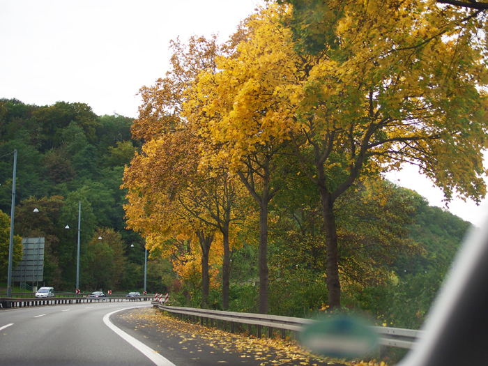 ザールブリュッケン