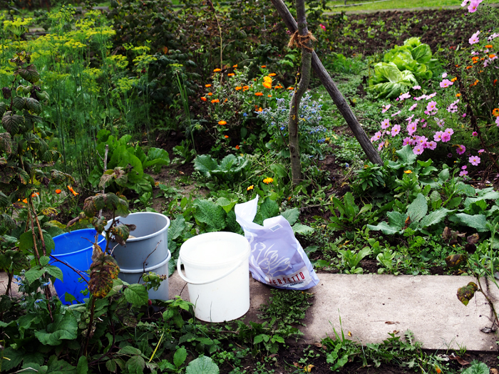 ザールブリュッケン