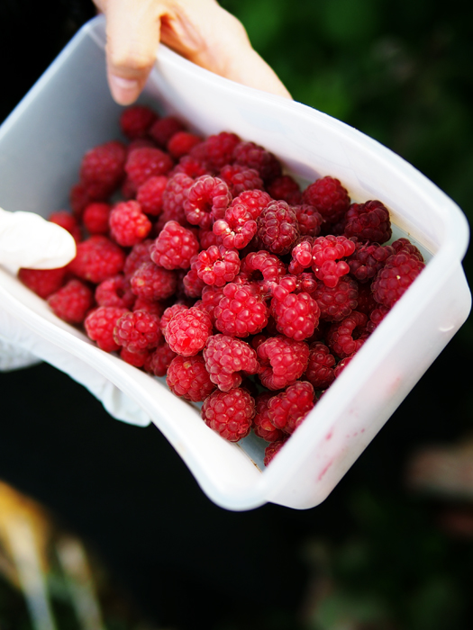 ザールブリュッケン